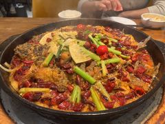 -老板恋上鱼(印象城店)