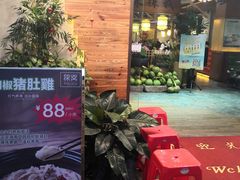 -探窝·竹笙椰子鸡(杨箕店)