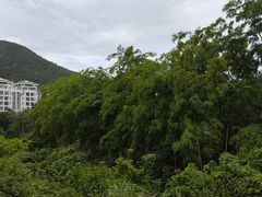 -亚龙湾站