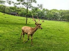 -良渚古城遗址公园