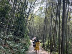 -千泷沟大瀑布旅游区