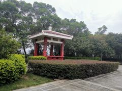 -金鸡山公园