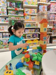 -乐高授权专卖店(中关村领展店)