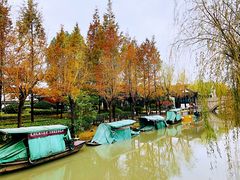 -碧丽宫大酒店(召稼楼店)