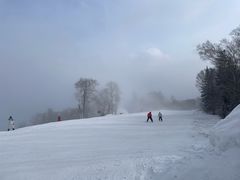 -亚布力新体委滑雪场