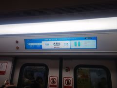 -大龙山(地铁站)