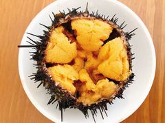 -海胆小馆(东北水饺·春柳店)