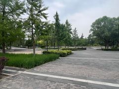 -立水桥公园