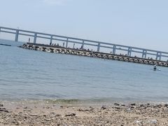 -星海湾跨海大桥
