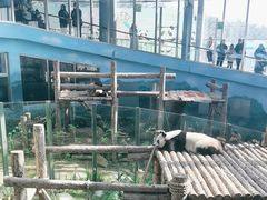 -大连森林动物园