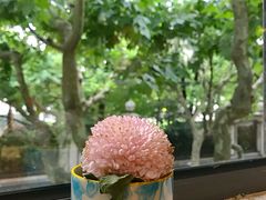 -Ginger(兴国路店)