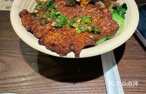 Salt and Scallion Pork Cutlet Rice