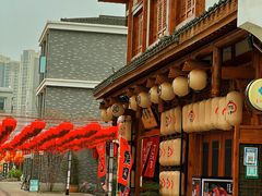 -洋湖国家湿地公园