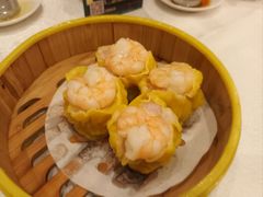 -潮江春(阳光店)