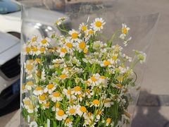 -雪蔓之鲜花气球派对(家佳源时代中心店)