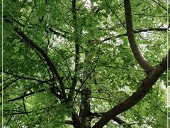 -中国移动南方基地