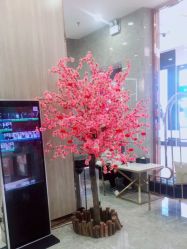 -Meng Lang 梦郎白金店