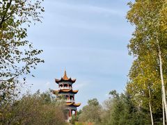 -绥化市森林植物园