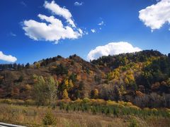 -塞罕坝国家级自然保护区