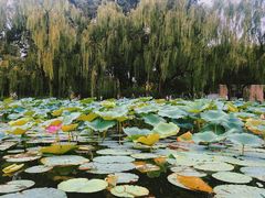 -WhaleSports户外水上运动俱乐部(朝阳公园店)