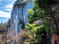 -秦岭天竺山生态文化旅游景区