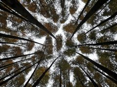 -山王坪喀斯特国家生态公园