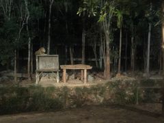 -清迈夜间动物园