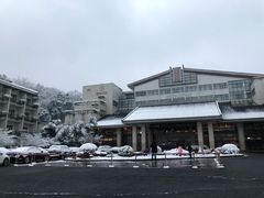-浙江宾馆·花园餐厅·自助餐厅·茶吧