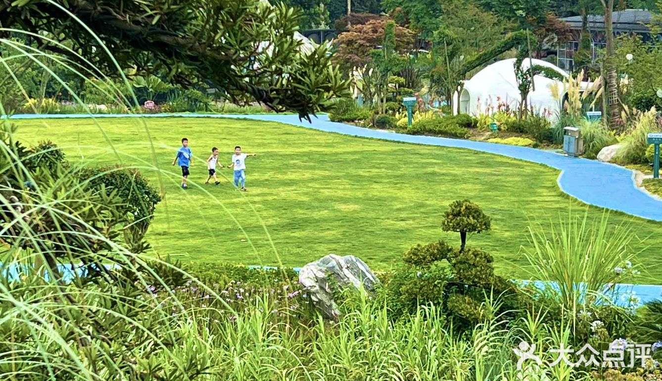 成都周边游‼️40000平现实版绿野仙踪🖼 .