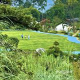 成都周边游‼️40000平现实版绿野仙踪🖼 .