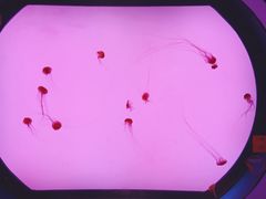 -沈阳海洋探索中心