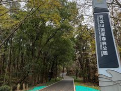 -青龙山国家森林公园