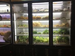 -马玉林天水麻辣烫(一马路清真店)