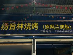-杨合林啊兰烤鱼