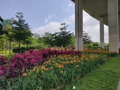 -中澳友谊花园
