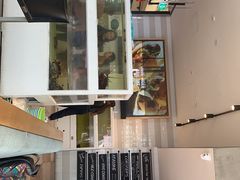 -悉尼鱼市场
