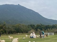 -七娘山