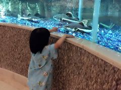 -碧涛阁·泡泡海洋·汤泉洗浴(王府花园店)
