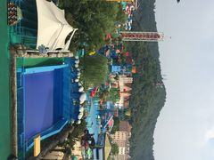 杭州浪浪浪水公园-杭州浪浪浪水公园