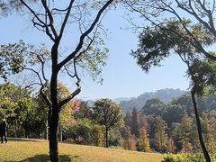 -云溪植物园