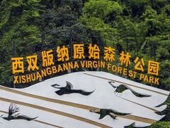 -西双版纳原始森林公园