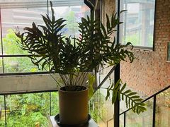 -一尺花园(首钢店)