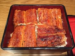 本家柴藤-本家 柴藤