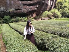 -武夷山风景名胜区-虎啸岩