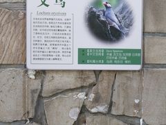 -北京市海淀外国语实验学校