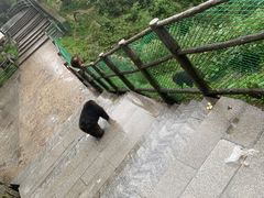 -婺嫣街田记·老嘉州甜皮鸭