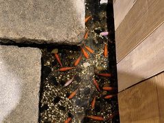 -邈墨茶馆(凤起路店)