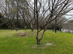 -苏州上方山国家森林公园