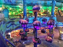 -青岛嘉年华主题乐园