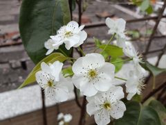 -聚福生态农庄